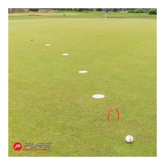 Picture of Pure2Improve Golf Putting Ghost Holes - Set of 4