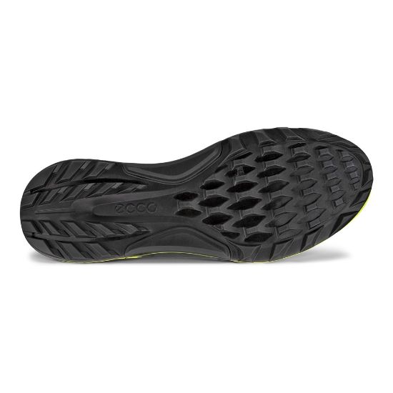 Picture of ECCO Men's Biom C4 Golf Shoes