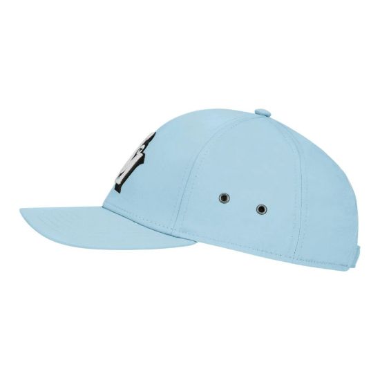 Picture of TaylorMade Men's Retro Metal Eyelet Golf Cap